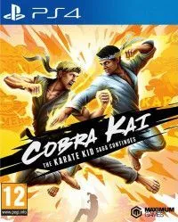 Cobra Kai: The Karate Saga Continues (PS4)