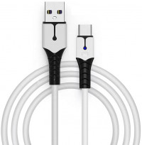     2  USB Type-C (GP5-1619) (PS5/Xbox One/Series X/S/Switch)