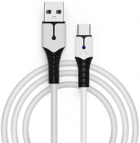 Зарядный кабель для геймпада 2 м USB Type-C (GP5-1619) (PS5/Xbox One/Series X/S/Switch)