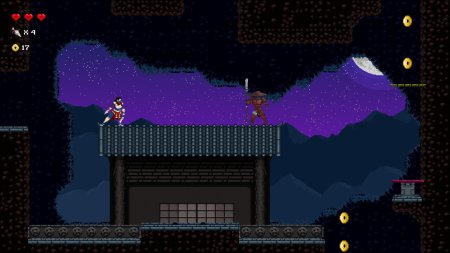 игра Chronicles of 2 Heroes: Amaterasu's Wrath Коллекционное издание (Collector's Edition) Русская Версия (Switch) для Nintendo Switch
