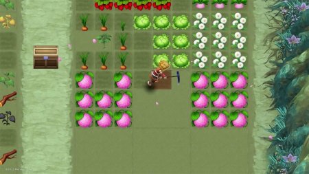 игра Rune Factory 3 Special (Switch) для Nintendo Switch