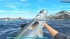 игра Reel Fishing: Road Trip Adventure (Switch) для Nintendo Switch