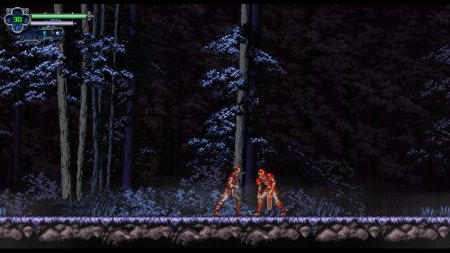 игра Chronicles of the Wolf (Switch) для Nintendo Switch