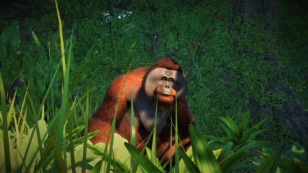Planet Zoo: Console Edition (PS5)