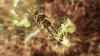 игра Xenoblade Chronicles 3 (Switch) USED Б/У для Nintendo Switch