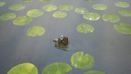 Bramble: The Mountain King Русская Версия (PS5)