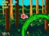 Sonic and Knuckles (Соник 4) Русская Версия (16 bit) 