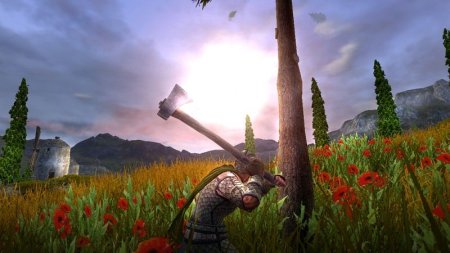 Age of Conan: Hyborian Adventures Русская Версия Jewel (PC) 