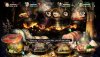 Игра Dragon's Crown Pro (PS4) Playstation 4