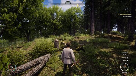 Medieval Dynasty Русская Версия (PS5)