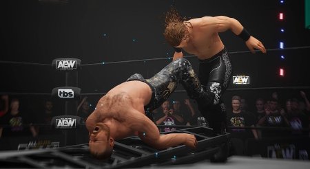 игра AEW: Fight Forever (Switch) для Nintendo Switch