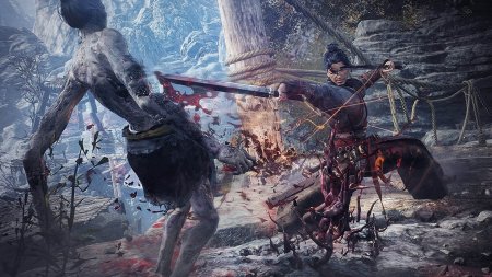 Игра Wo Long: Fallen Dynasty Русская Версия (PS4/PS5) Playstation 4