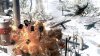 Купить игру Ultimate Action Triple Pack (Just Cause 2, Sleeping Dogs, Tomb Raider) (PS3) для Sony Playstation 3