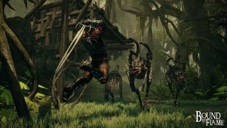 Bound by Flame Русская Версия Jewel (PC) 