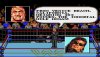 Супер Реслинг Мания (WWF Super Wrestle Mania) Русская Версия (16 bit) 