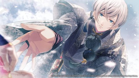 игра Winter's Wish: Spirits of Edo (Switch) для Nintendo Switch
