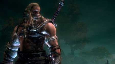 Купить игру Viking: Battle for Asgard (PS3) для Sony Playstation 3