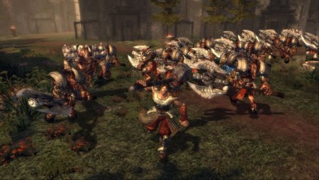 Купить игру Untold Legends: Dark Kingdom (PS3) для Sony Playstation 3