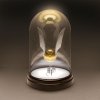  Светильник Paladone: Гарри Поттер (Harry Potter) Колпак освещаемый с золотым снитчем (Bell Jar Light Golden Snitch) 20 см
