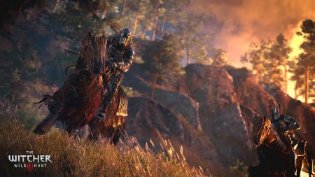Игра Ведьмак 3: Дикая Охота (The Witcher 3: Wild Hunt) Издание Игра Года (Game of the Year Edition) Русская Версия (PS4/PS5) USED Б/У Playstation 4