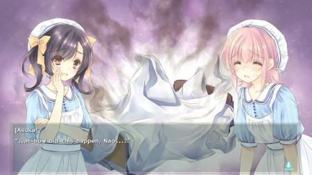 игра Nurse Love Obsession (Switch) для Nintendo Switch