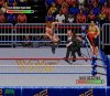 Реслинг Королевская битва (WWF Royal Rumble) (16 bit) 