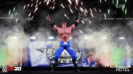 Игра WWE 2K20 (PS4) USED Б/У Playstation 4