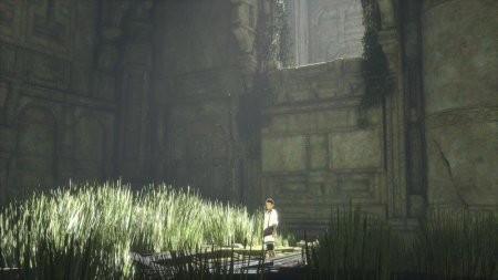 Игра The Last Guardian. Последний хранитель Русская Версия (PS4) Playstation 4