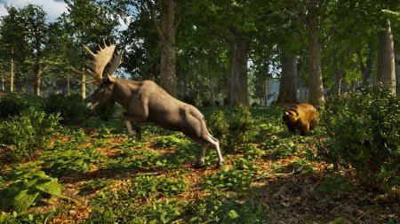 Park Ranger Simulator Русская Версия (PS5)