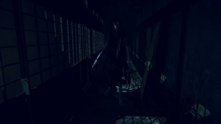 игра Hollow Cocoon Специальное Издание (Special Edition) Русская Версия (Switch) для Nintendo Switch