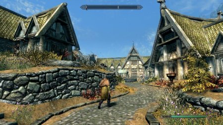 игра The Elder Scrolls 5 (V): Skyrim (Switch) USED Б/У для Nintendo Switch