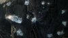 Final Fantasy 16 (XVI) Русская Версия (PS5) USED Б/У