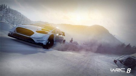 Игра WRC 8: FIA World Rally Championship Русская Версия (PS4) Playstation 4
