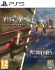 Warplanes: WW1 Sky Aces Русская Версия + WW2 Dogfight Русская Версия (PS5)