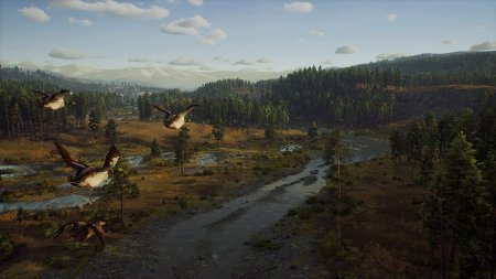 Купить Microsoft Xbox Series X/S скидка, магазин, дешево, цена