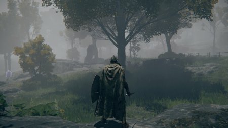 Игра Elden Ring (PS4/PS5) Playstation 4
