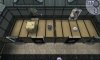  Frantix (PSP) 