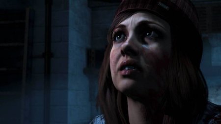 Игра Дожить до рассвета (Until Dawn) (PS4) Playstation 4