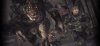 Gears of War: Ultimate Edition Русская Версия (Xbox One) USED Б/У 
