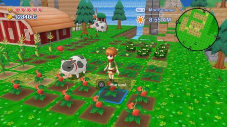 игра Harvest Moon: The Lost Valley and Skytree Village Коллекционное издание (Collector's Edition) (Switch) для Nintendo Switch