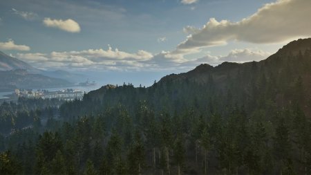 Park Ranger Simulator Русская Версия (PS5)