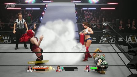игра AEW: Fight Forever (Switch) для Nintendo Switch
