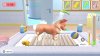 игра My Universe: Pet Clinic Cats and Dogs Panda Edition (Switch) для Nintendo Switch