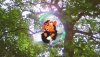  EyePet Приключения (Требуется камера GoCam) Русская Версия (PSP) 