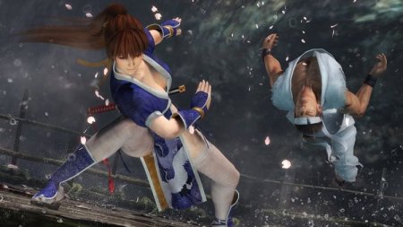 Купить игру Dead or Alive 5 (PS3) для Sony Playstation 3