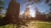 игра The Talos Principle Русская Версия (Switch) для Nintendo Switch