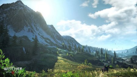 игра Ведьмак 3: Дикая Охота (The Witcher 3: Wild Hunt) Русская Версия (Switch) для Nintendo Switch