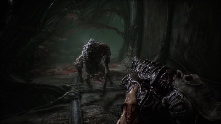Scorn Deluxe Edition Русская Версия (PS5)