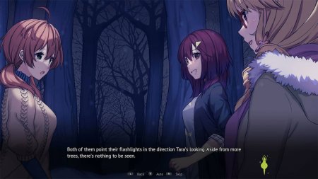 Heart of the Woods (Limited Run) (PS5)