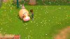 игра My Universe: Green Adventure Farmers Friends (Switch) для Nintendo Switch